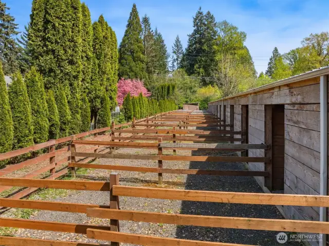 Private small barn runs for easy in-out enjoyment.