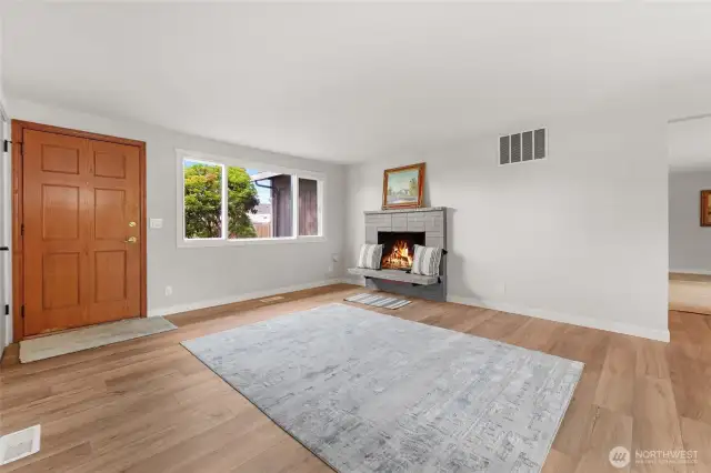 Living Room fireplace