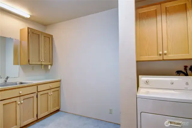 Large Laundry room with sink