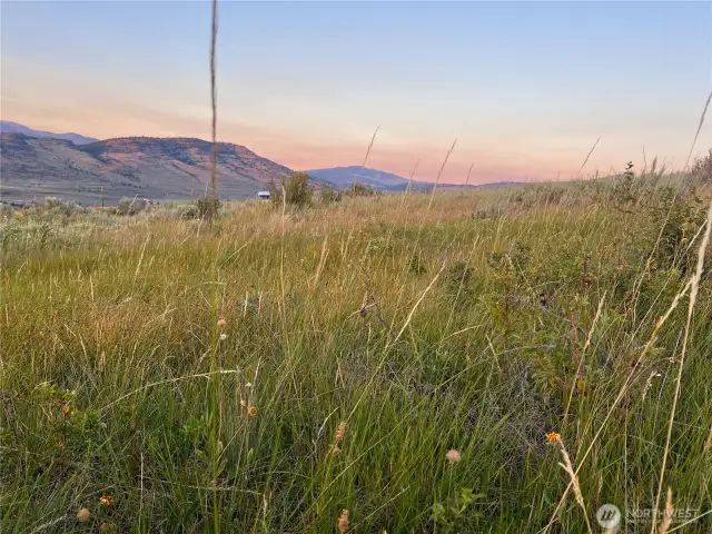 Lots of green vegetation in the area suggests good water on the property!