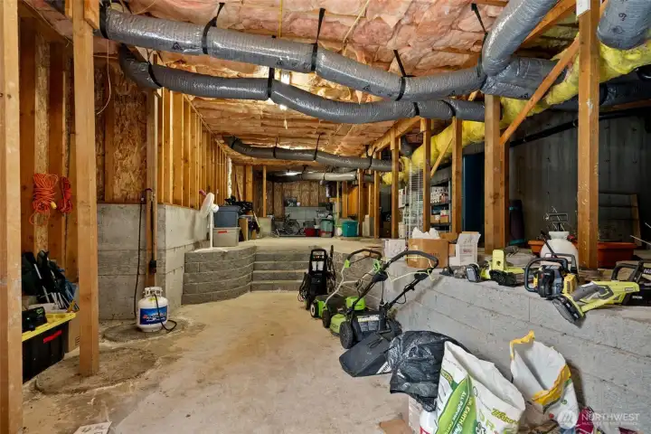 Downstairs, a bonus storage area in the basement! Dry, with high ceilings - this will save a ton of room for storage in the garage!