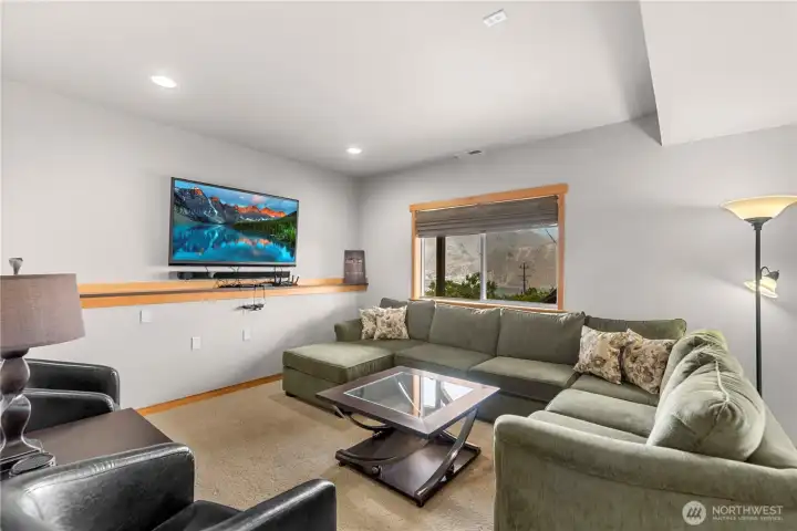 Lower level Bonus / Family Room