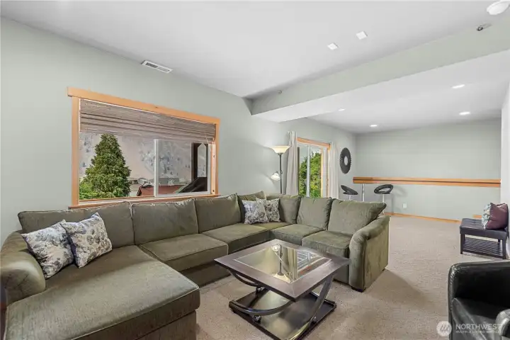 Lower level Bonus / Family Room