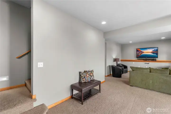 Lower level Bonus / Family Room
