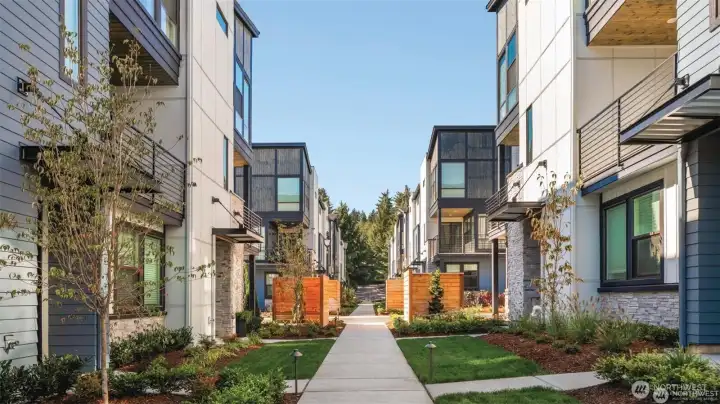 Rendering of a similar community