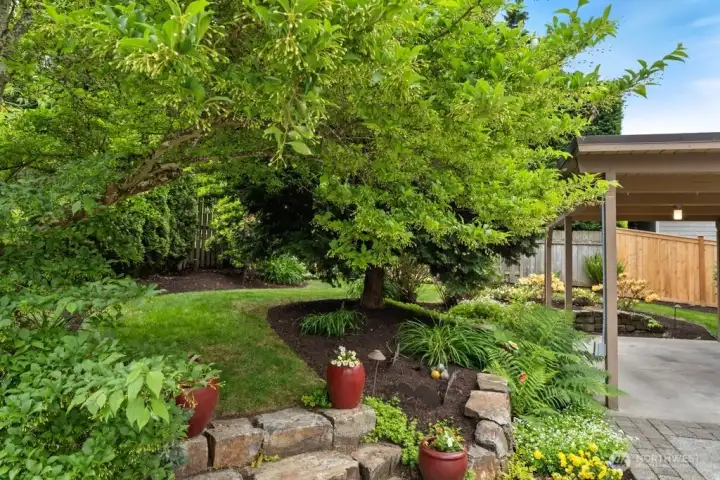 Yard lighting, irrigation and sprinkler systems Yard lighting, irrigation and sprinkler systems