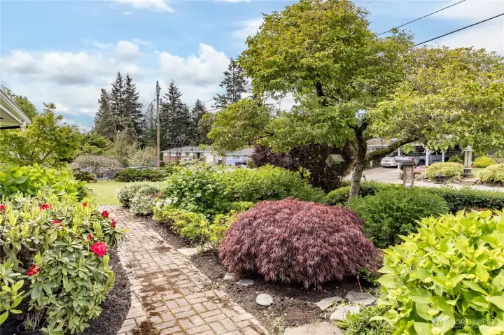 Lovely perennials in the front yard