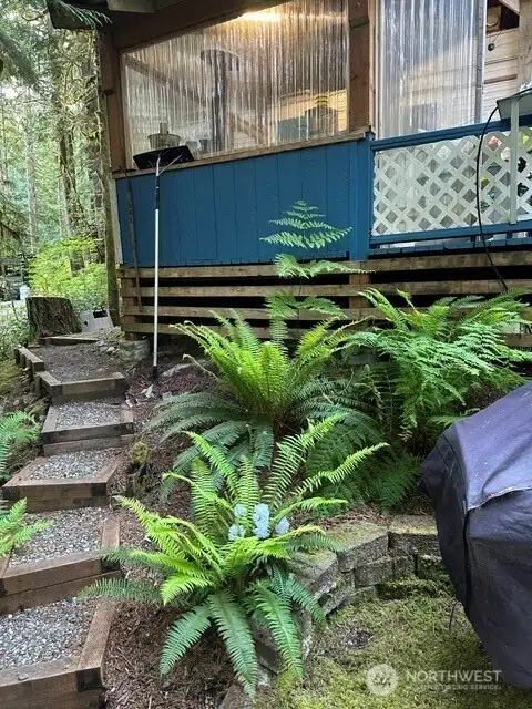 Stairs from yard