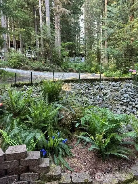 View from yard