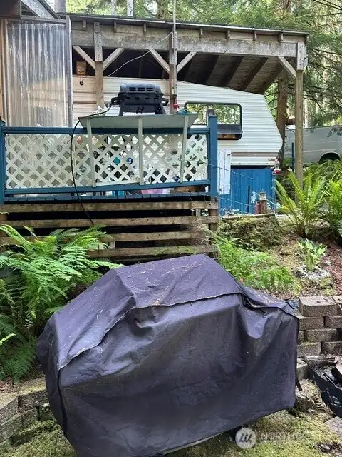 BBQ