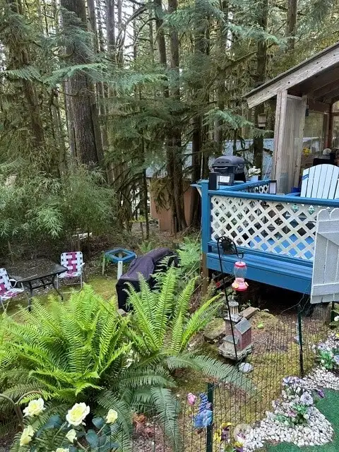 Yard #1