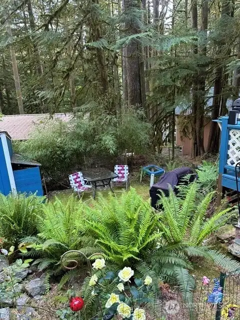 Yard #2