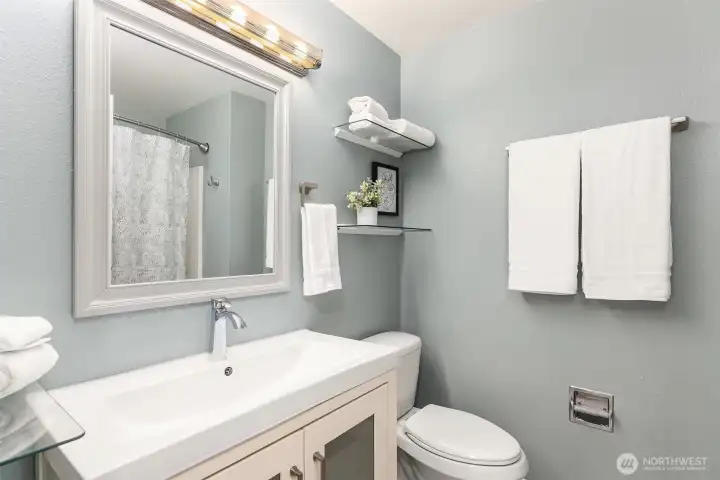 Main floor hall bathroom