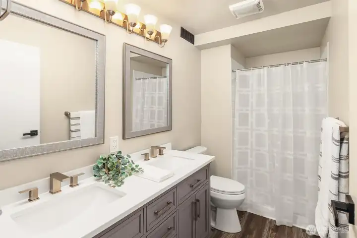 Lower level bathroom
