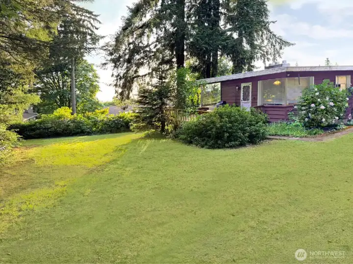 Another view of the south part of the yard. So much space! Gardening, pets, games, relazing or?
