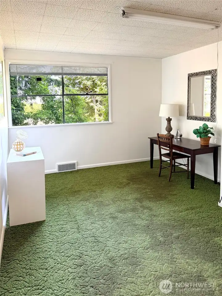 The middle bedroom on the main floor. Under the carpet is a plywood floor. Another chance for you to redesign this space to make it your own.