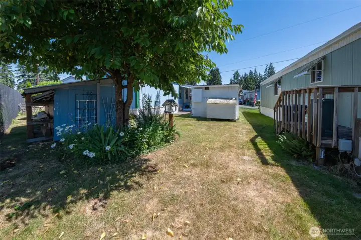 Mature landscaping