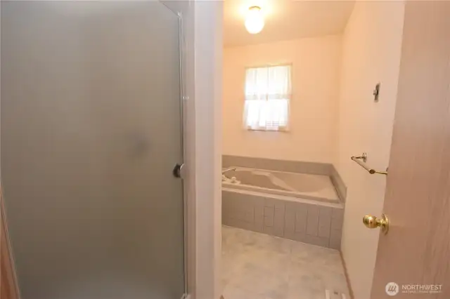 primary bath tub/shower