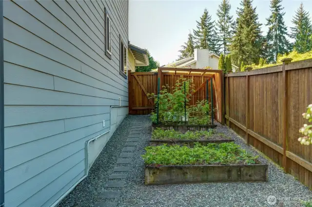 Vegetable garden.