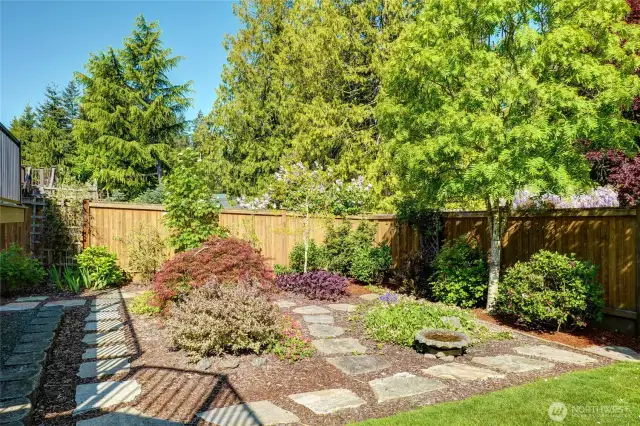 Beautiful private backyard.