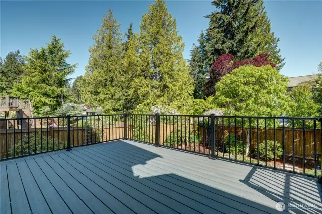 New deck in 2025.