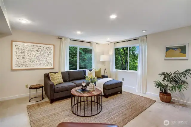Lower level Media/Rec Room