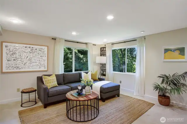 Lower level Media/Rec Room