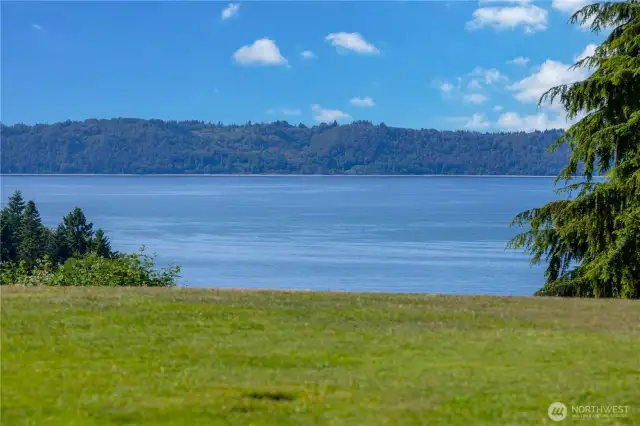 View from the 15th Tee