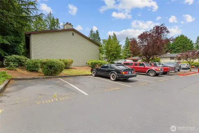 visitor parking spaces throughout