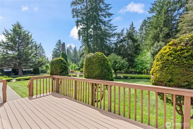 Large TREX composite decking