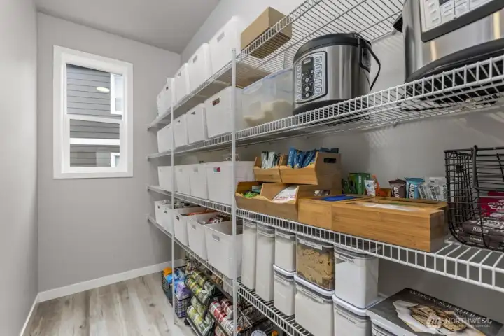 Generous sized pantry with more natural light.