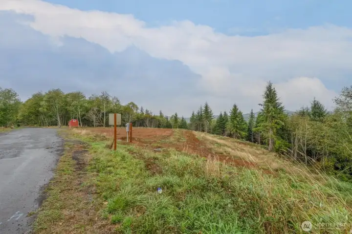 Paved County Road