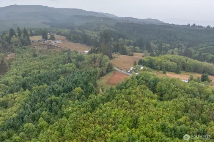 2 acres surrounded by Evergreen trees