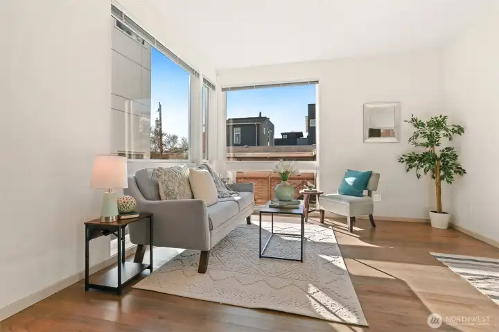 Huge windows for great light