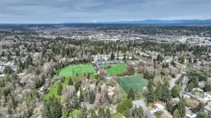 more of an over head of Grass Lawn Park