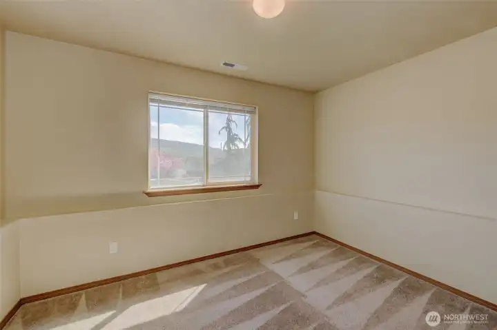 Lower level bedroom
