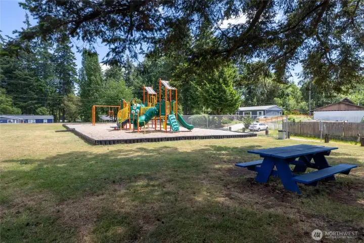 Let the kids play and enjoy a summer without electronics...