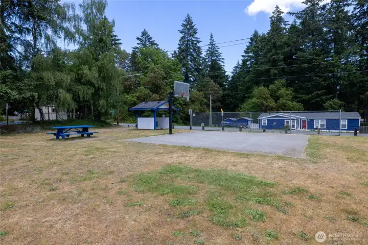 with the sound of basketballs bouncing on a late summer night.