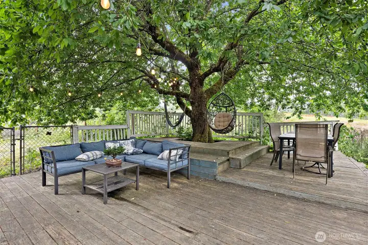 Welcome to your private backyard that overlooks the Pierce Co. Parks & Recreation land.