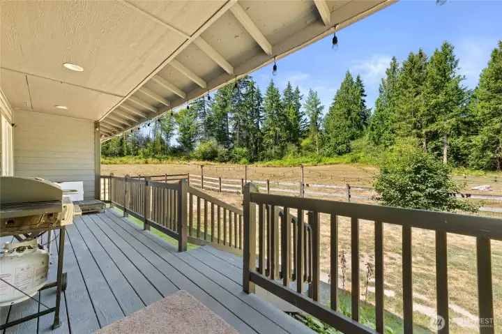Back Deck