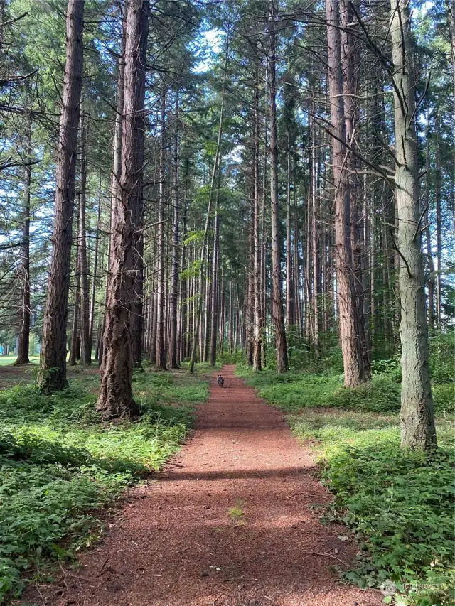 Golf course trail