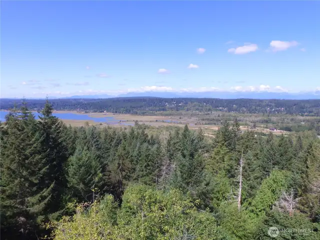 Hood Canal - Lynch Cove