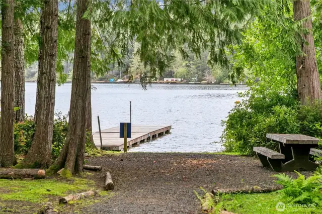 A closer view of the picnic area and dock.