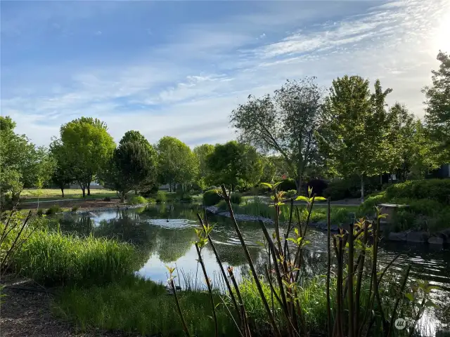 Ponds and walking trails