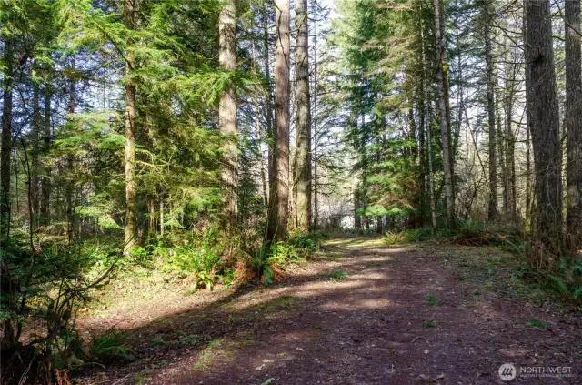 A lovely walk through the acreage surrounded by nature