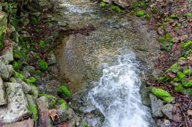 View the creek year around from one of the two bridge crossings on this property