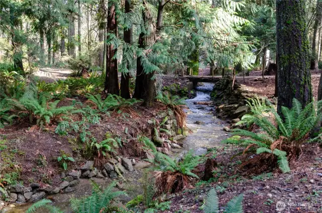 Stroll along the creek surrounded by nature.
