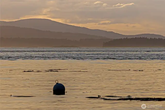 Registered mooring buoy.