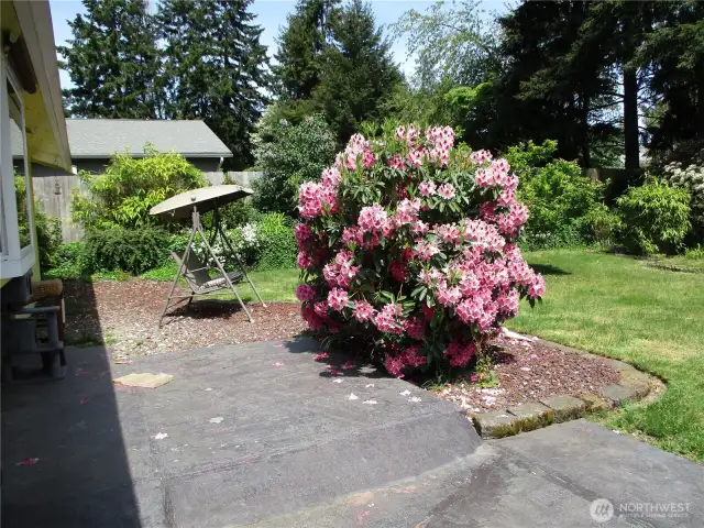 Patio out back door.