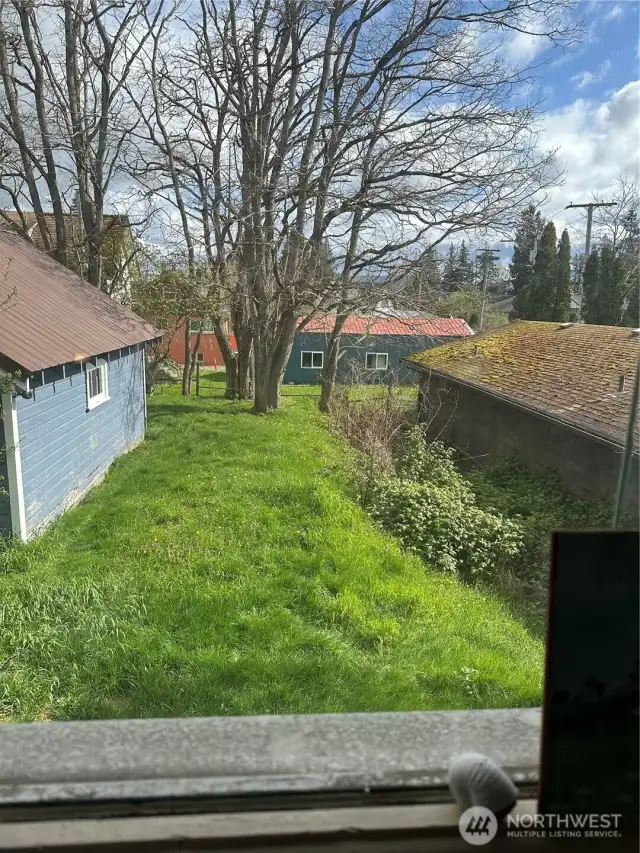 back yard